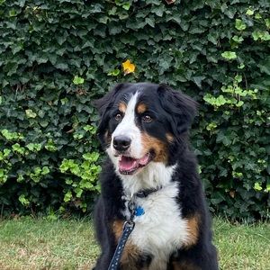 Meet your Posher, Jackie